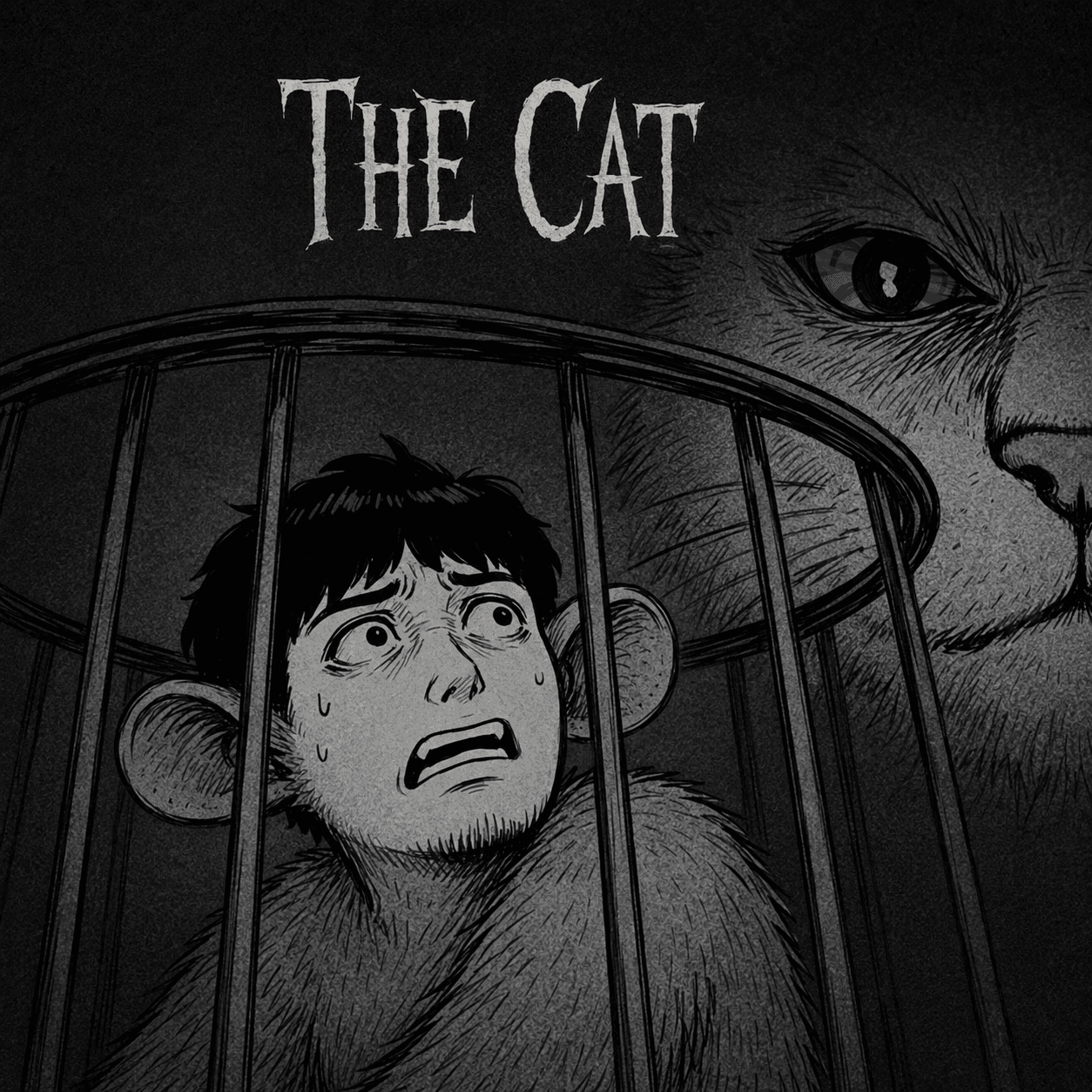 The Cat